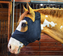 Load image into Gallery viewer, Medical Protective Mask