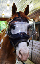 Load image into Gallery viewer, Eye Protective System