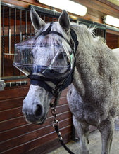 Load image into Gallery viewer, Eye Protective System