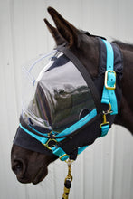 Load image into Gallery viewer, Eye Protective System