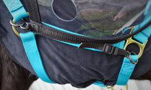 Load image into Gallery viewer, Eye Protective System