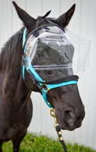 Load image into Gallery viewer, Eye Shield