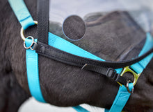 Load image into Gallery viewer, Eye Shield